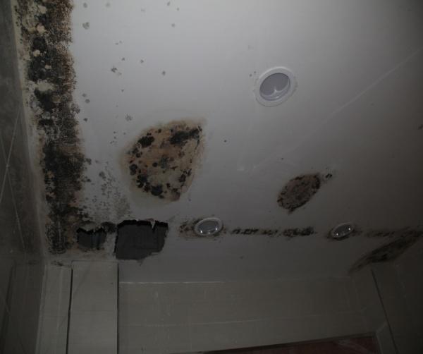 �������ṹ�ӹ�